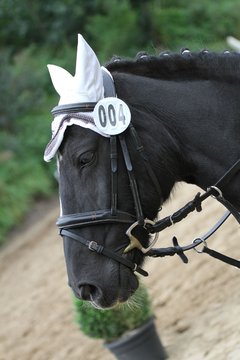 Bild 1304 - WBO-Turnier am 18.9.11